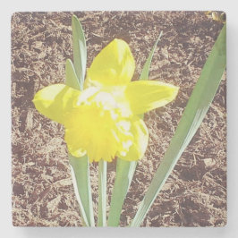 Yellow Spring Daffodil Stenen Onderzetter