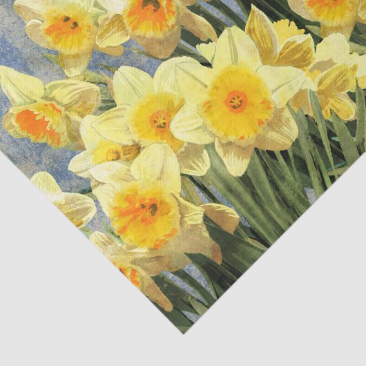 Yellow Spring Daffodils Rustic Tissuepapier (Detail)