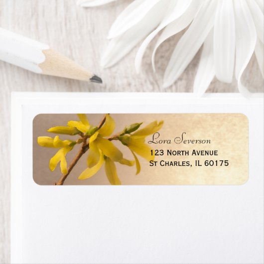 Yellow Spring Forsythia Bloemen Retouradres Etiket (Insitu)