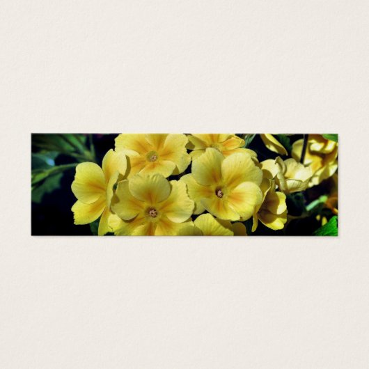 Yellow Spring Primrose Flowers Mini Bladwijzer Mini Visitekaartjes (Voorkant)