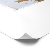 Yellow Star Grass - Hypoxis hirsuta Poster (Hoek)