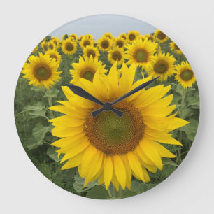 Yellow Sunflower Field Harvest Clock Grote Klok