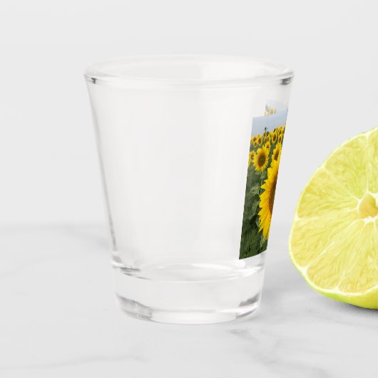 Yellow Sunflower Harvest Shot Glas (Links)
