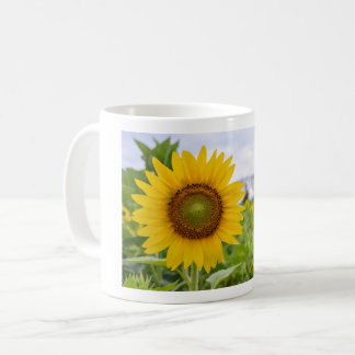 Yellow SunFlower Koffiemok