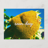 Yellow Sunflower Photo Sun Day Quote Script Briefkaart (Voorkant)
