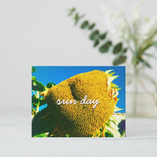 Yellow Sunflower Photo Sun Day Quote Script Briefkaart (Staand voorkant)