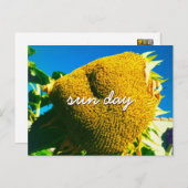 Yellow Sunflower Photo Sun Day Quote Script Briefkaart (Voorkant / Achterkant)