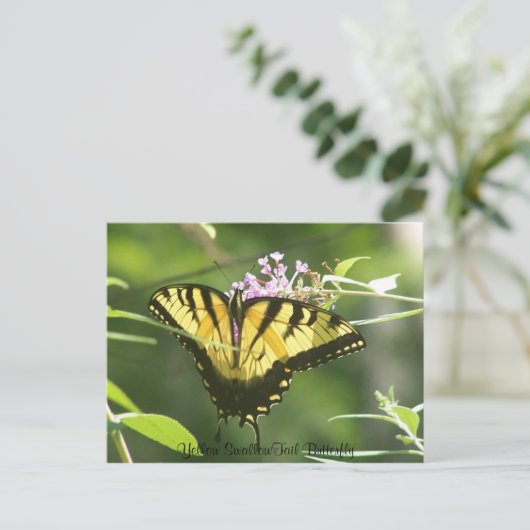 Yellow Swallow Tail Butterfly Briefkaart (Staand voorkant)