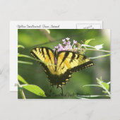 Yellow Swallow Tail Butterfly Briefkaart (Voorkant / Achterkant)