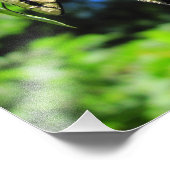 Yellow Swallowtail ~ Foto Afdruk (Hoek)