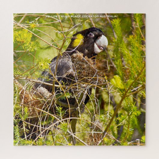 Yellow Tailed Black Cockatkato Australië Legpuzzel (Verticaal)