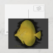 Yellow Tang - eenzaamheid Briefkaart (Voorkant / Achterkant)