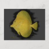 Yellow Tang - eenzaamheid Briefkaart (Voorkant)