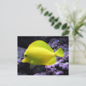 Yellow Tang Reef Fish Briefkaart (Staand voorkant)