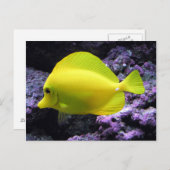 Yellow Tang Reef Fish Briefkaart (Voorkant / Achterkant)