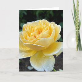 Yellow Tea Roos Blank Note Kaart