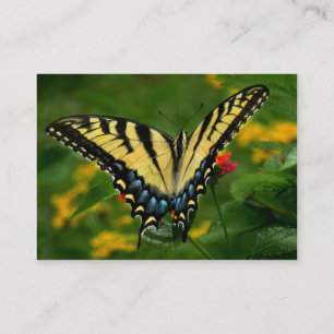 Yellow Tiger Swallowtail Butterfly ATC-kaart Visitekaartje