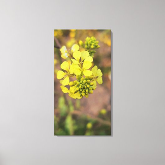 yellow tiny flower spring flora collection canvas afdruk (Voorkant)