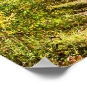 Yellow Tree Road // Hiking in het najaar Poster (Hoek)