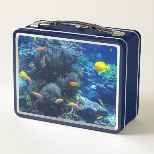 Yellow Tropical Fish Underwater Foto (Achterkant)