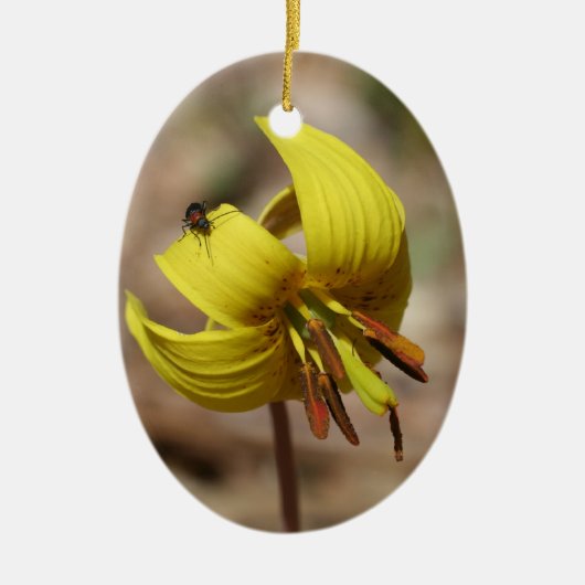 Yellow Trout Lily Floral Ornament (Voorkant)