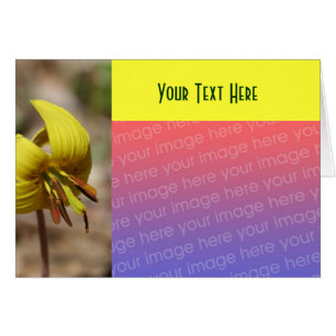 Yellow Trout Lily Flower Photo Card