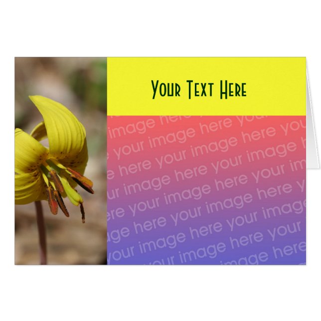 Yellow Trout Lily Flower Photo Card (Voorkant Horizontaal)