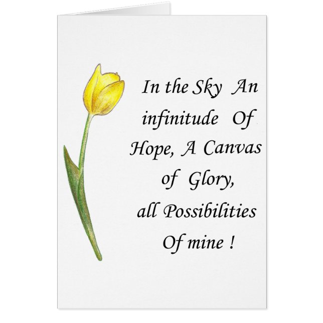 Yellow Tulip (Voorkant)