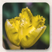 Yellow Tulip Bier Onderzetter (Voorkant)