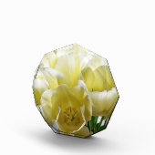 Yellow Tulip Bouquet Fotoblokken (Rechts)