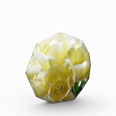 Yellow Tulip Bouquet Fotoblokken (Links)