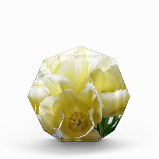 Yellow Tulip Bouquet Fotoblokken (Voorkant)