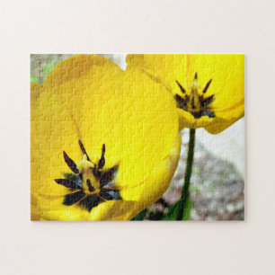 Yellow Tulip foto Puzzle Legpuzzel