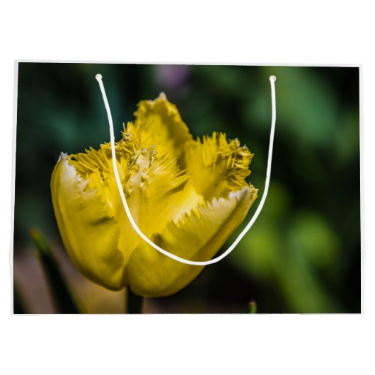 Yellow Tulip Groot Cadeauzakje (Achterkant)