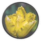 Yellow Tulip Hockey Puck (Voorkant)