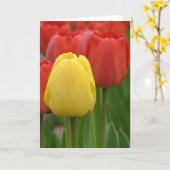 Yellow Tulip Kaart (Gele Bloem)