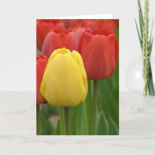 Yellow Tulip Kaart