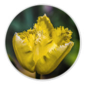 Yellow Tulip Keramische Knop (Voorkant)