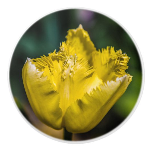 Yellow Tulip Keramische Knop (Voorkant)