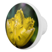Yellow Tulip Keramische Knop (Rechts)