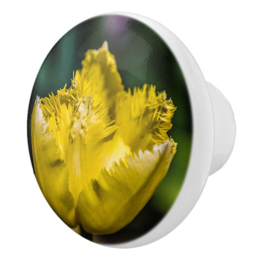 Yellow Tulip Keramische Knop (Rechts)