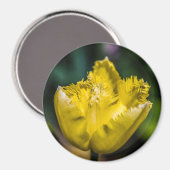 Yellow Tulip Magneet (Voorkant / Achterkant)