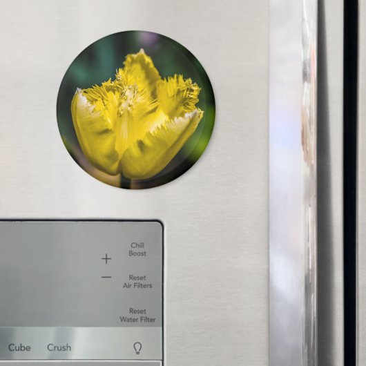 Yellow Tulip Magneet (Insitu (Koelkast))