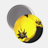 Yellow Tulip Magnet (Voorkant / Achterkant)