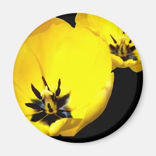 Yellow Tulip Magnet (Voorkant)