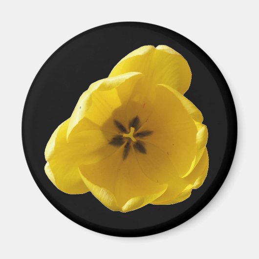 Yellow Tulip Magnet (Voorkant)