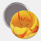Yellow Tulip Magnet (Voorkant / Achterkant)