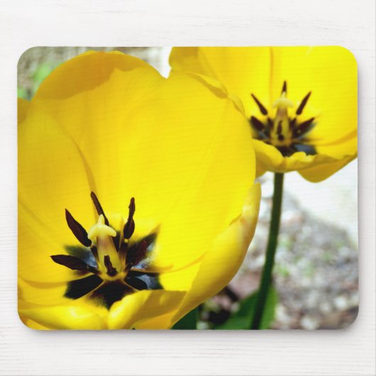 Yellow Tulip Mouse Mat Muismat (Voorkant)