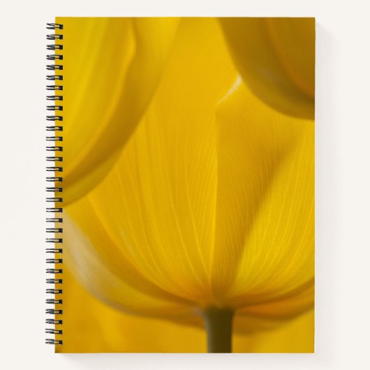 Yellow Tulip Notitieboek (Voorkant)