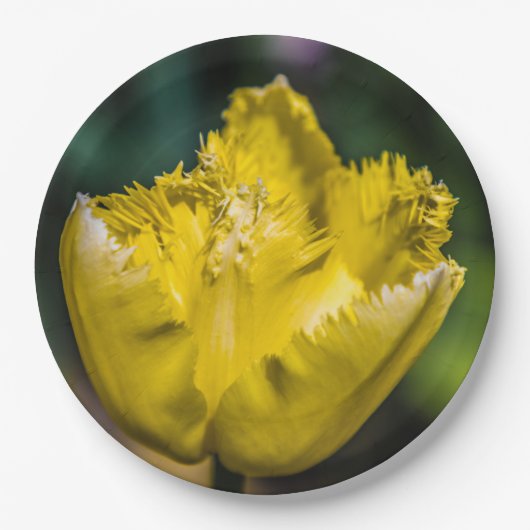 Yellow Tulip Papieren Bordje (Voorkant)